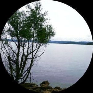 Meet your Posher, Maya